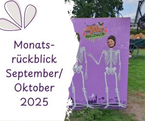 Mehr über den Artikel erfahren Monatsrückblick Oktober 2025