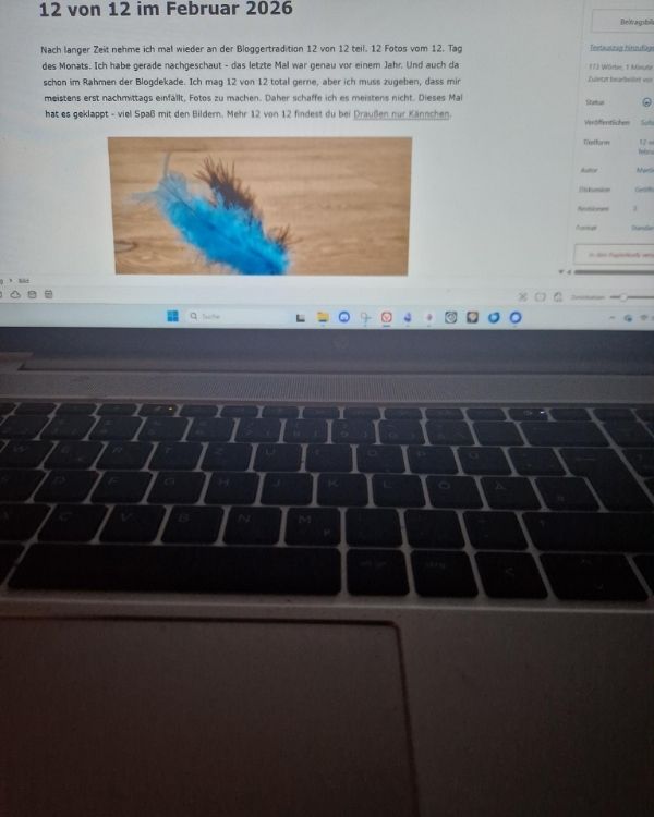Bildschirm eines Laptops, auf dem ein Blog-Beitrag mit dem Titel '12 von 12 im Februar 2026' geöffnet ist. Der Beitrag enthält Text und ein Foto einer blauen Feder. Die Tastatur des Laptops ist im Vordergrund zu sehen.